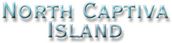 North Captiva Island Florida vaction rentals condos